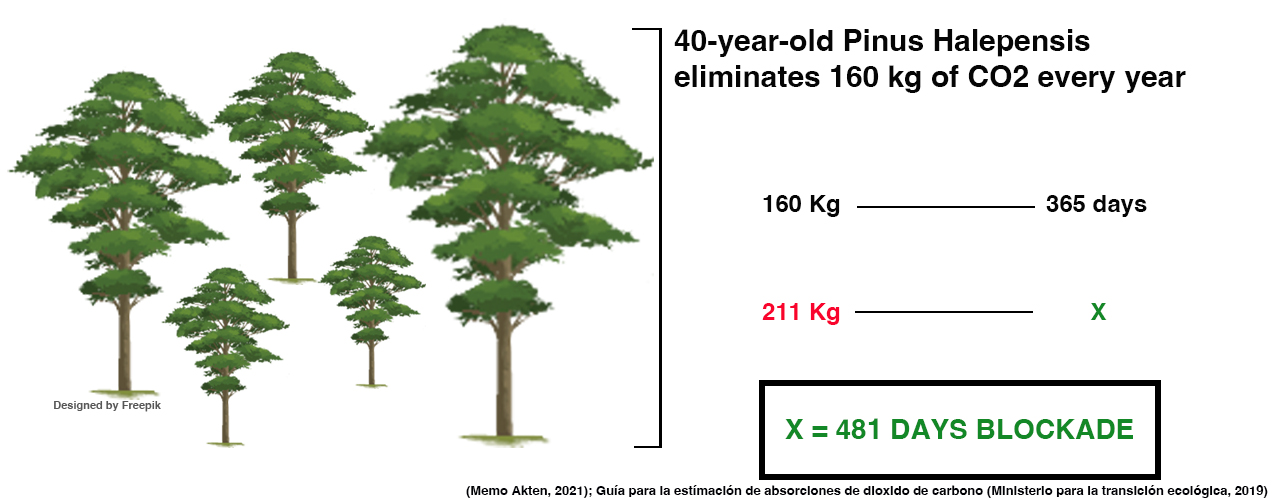 Pinus_CO2_blockade